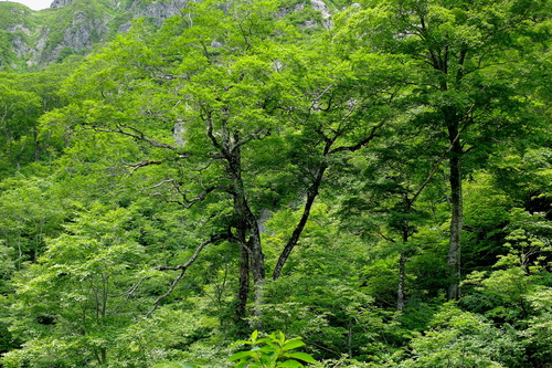 e0304001_18473889.jpg