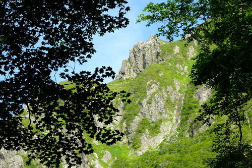 e0304001_1847434.jpg