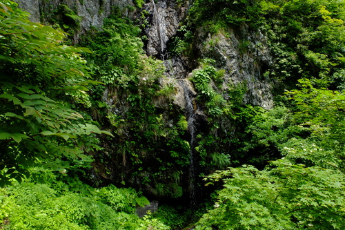 e0304001_18513196.jpg