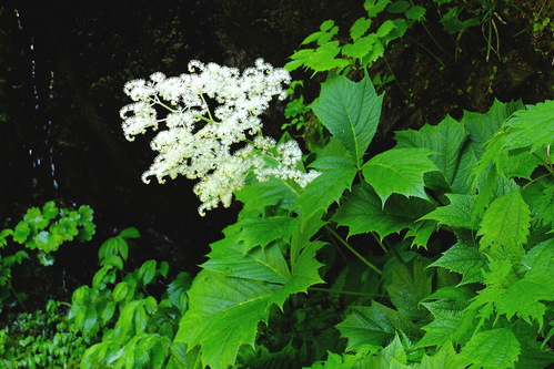 e0304001_18521176.jpg