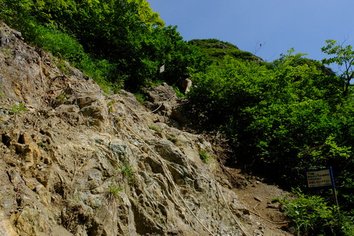 e0304001_185340100.jpg