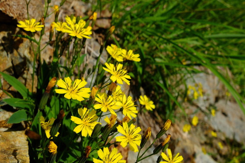 e0304001_1855929.jpg
