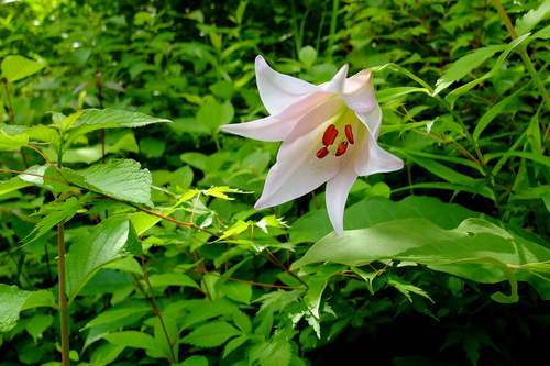 e0304001_1914972.jpg