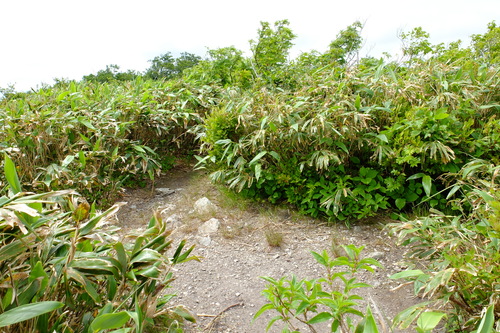 e0304001_193403.jpg