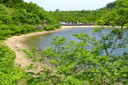 初夏の夜叉ヶ池①緑の森を歩く_e0304001_1944326.jpg