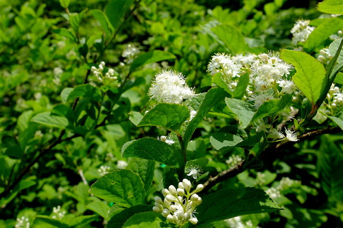 e0304001_1973690.jpg