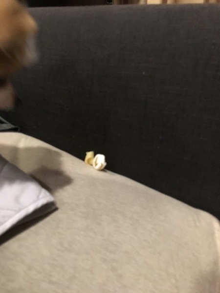 f0036603_10000806.jpeg
