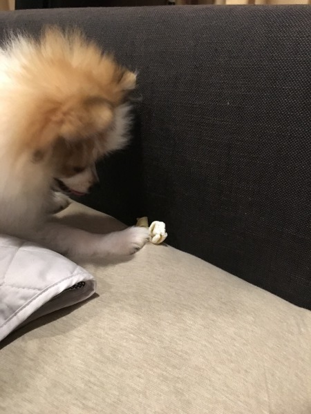 f0036603_10001947.jpeg