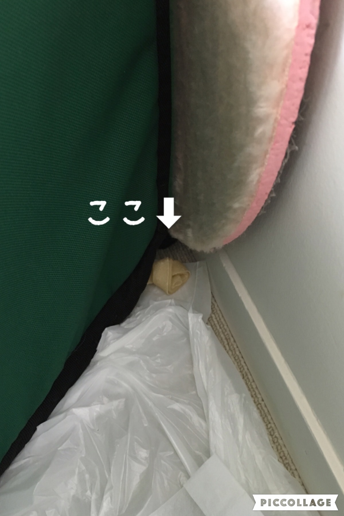 f0036603_10014336.jpeg