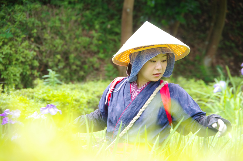 朝練】 薬師池公園 花摘み娘 : 相模原・町田エリアの写真サークル「な