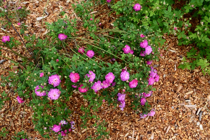 a0248508_22553660.jpg