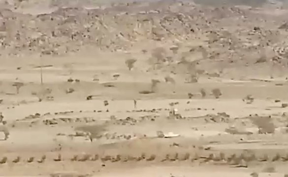 サウジアラビアの砂漠にエイリアンUFOが着陸！：中からグレイが登場、がしかし！？_a0348309_11194522.png