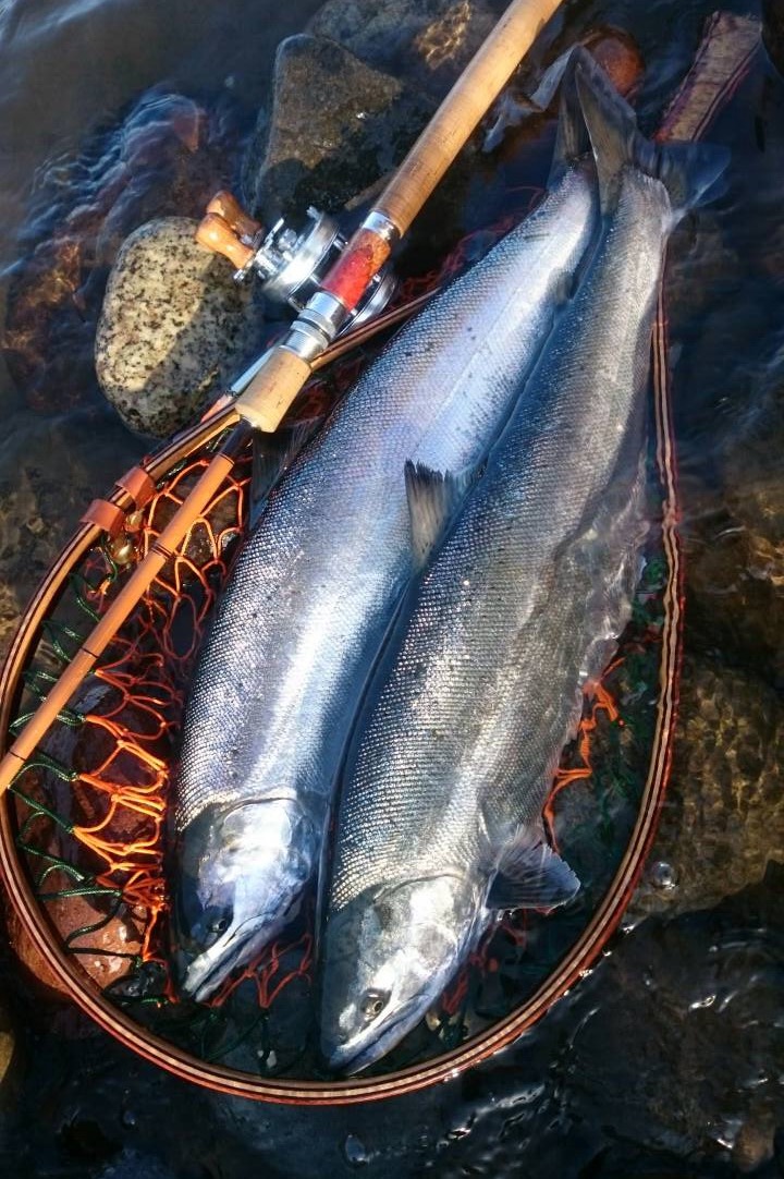 Bum Report特集 : Anglo & Company Weblog Bum Report特集 : Anglo & Company Weblog