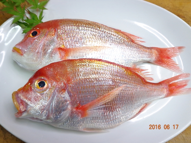 三昧料理お届け レンコ鯛 真鯒 喉黒 真子鰈 侘助 鶏肋話 三昧料理お届け レンコ鯛 真鯒 喉黒 真子鰈 侘助 鶏肋話
