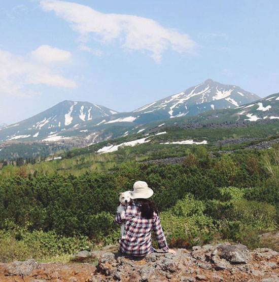 山へ_f0032814_1126427.jpg