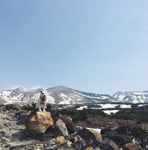 山へ_f0032814_11264928.jpg