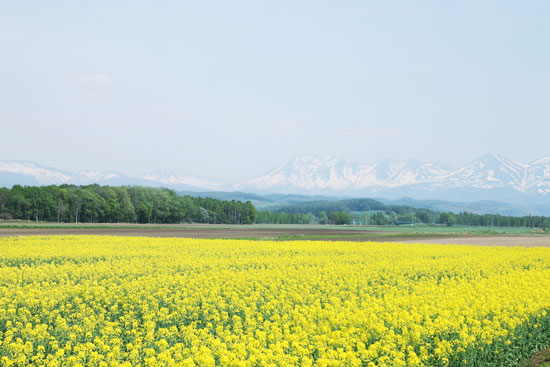 絶景_f0032814_1192435.jpg