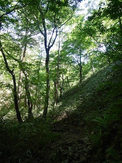 久し振り！の恵那山…黒井沢から神坂峠を縦走_c0359615_19014969.jpg