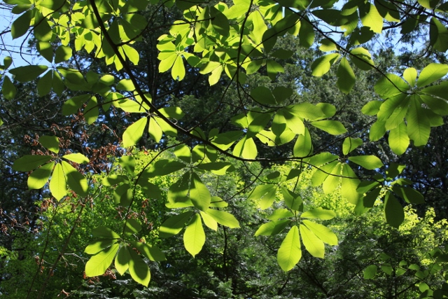 e0242721_85031.jpg
