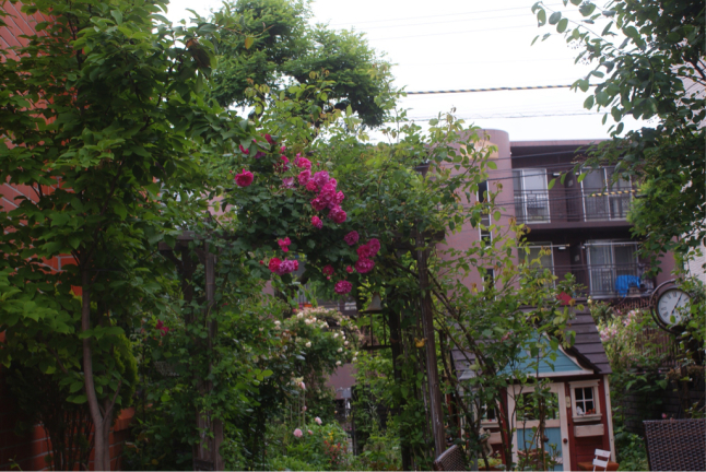 f0170524_08330996.jpg