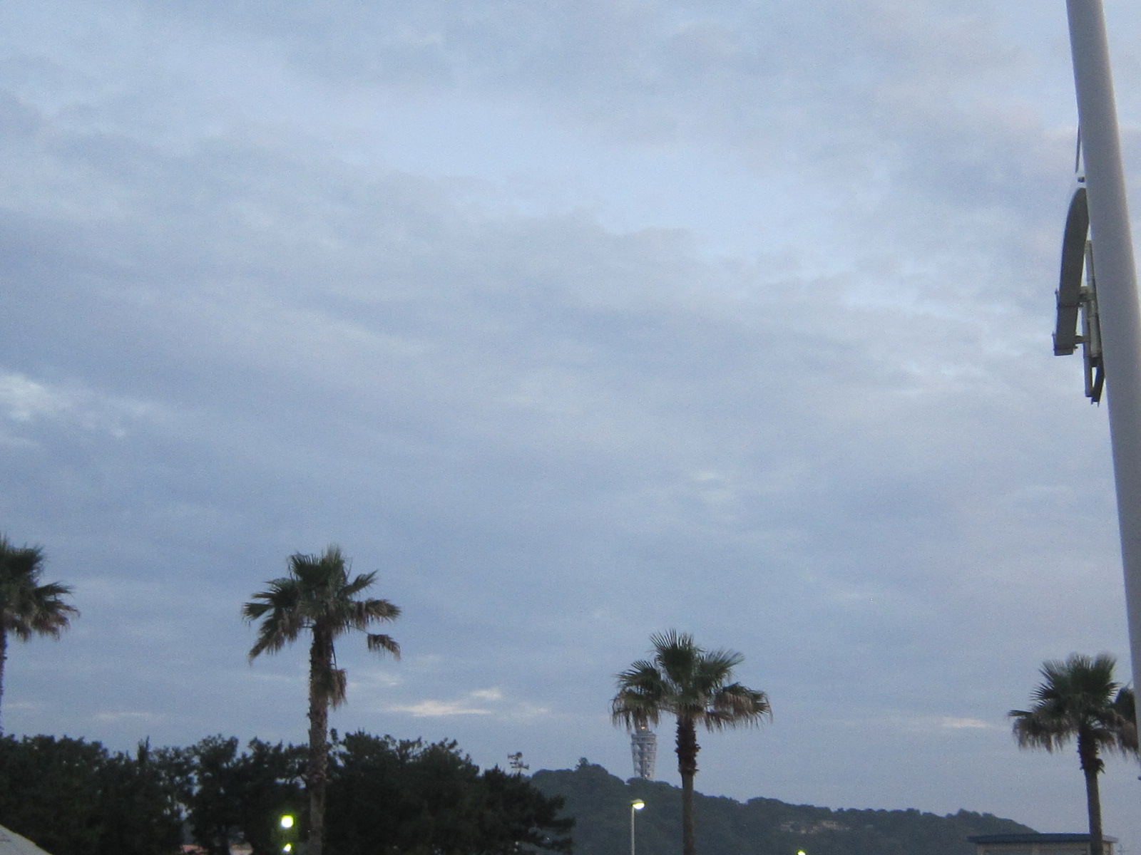 d0162225_0391759.jpg