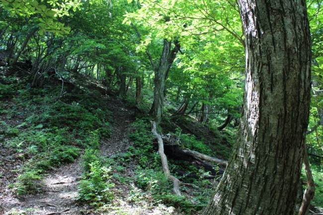 c0077338_09343794.jpg