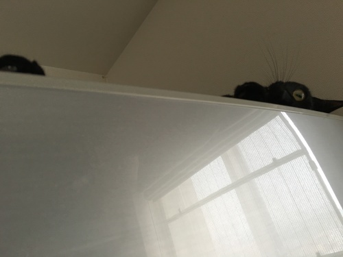 b0341440_15074551.jpeg