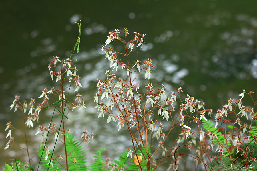 c0067040_21151597.jpg