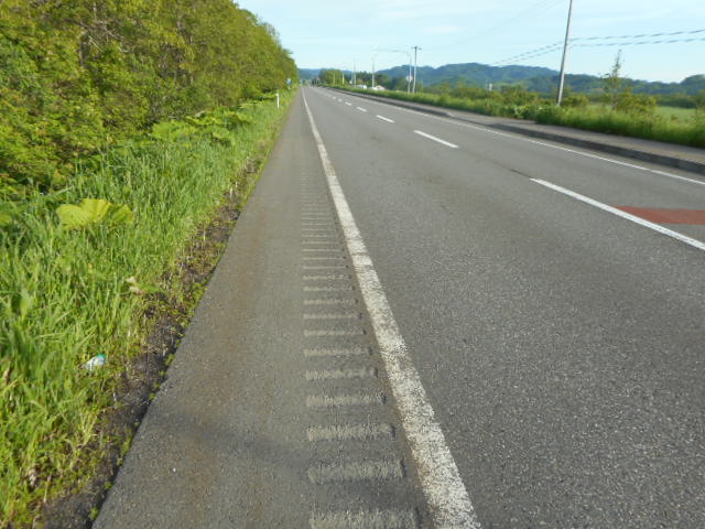 俺チャレ2016～日本一長い普通列車に乗るために300km以上自転車を漕ぐ男の熱いメッセージ（その3）_a0156548_20553344.jpg