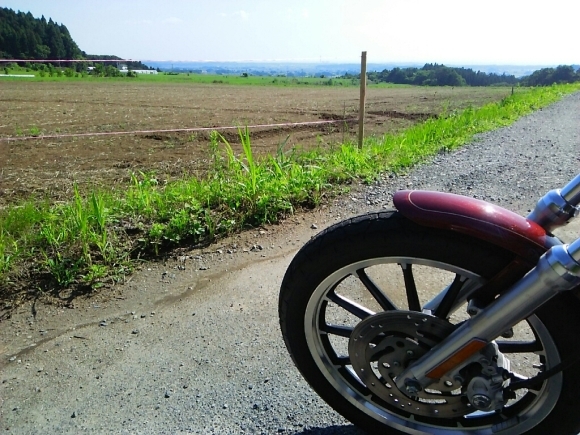 a0315448_07580839.jpg