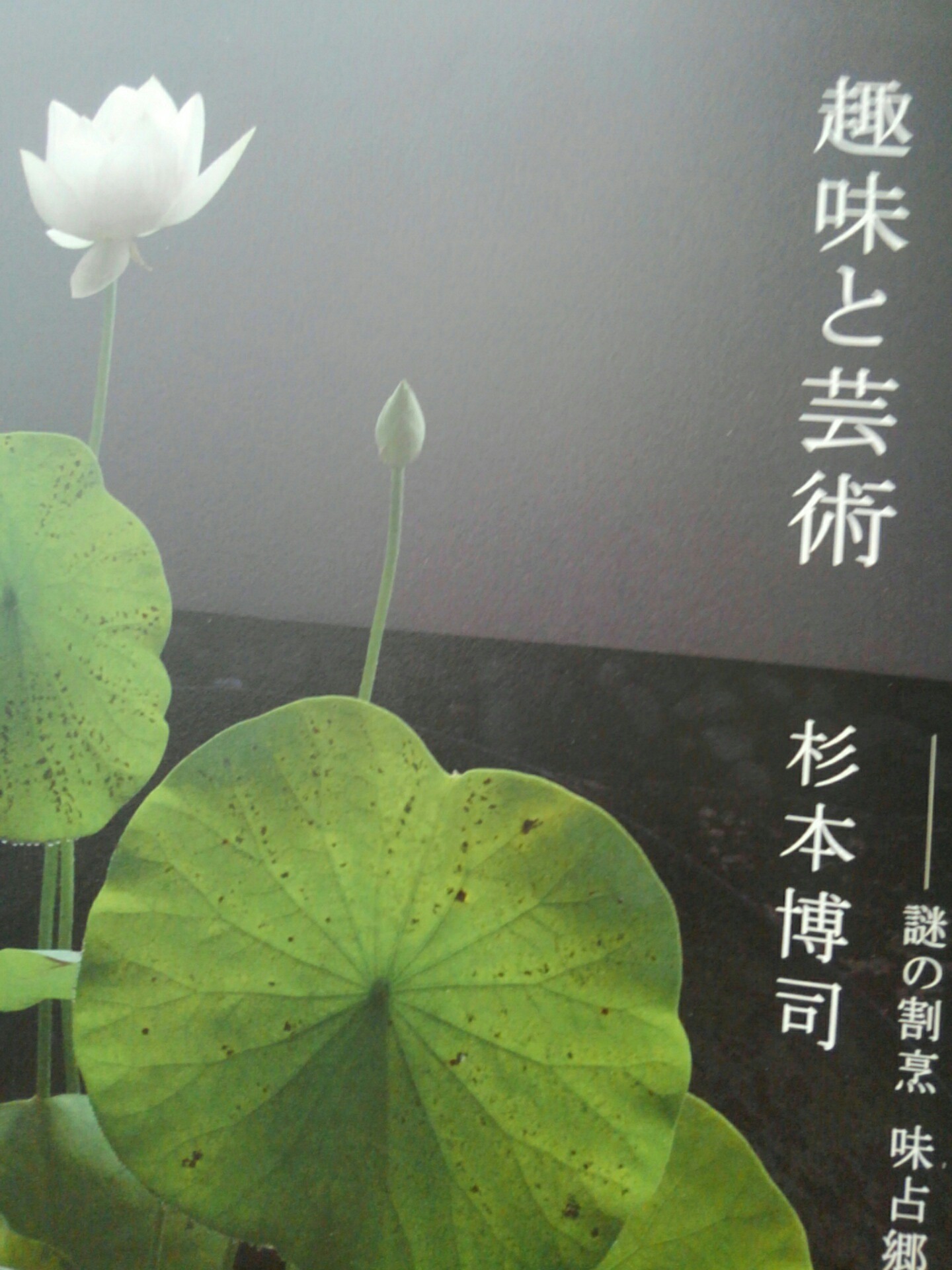雑誌ですが_f0246254_22483065.jpg