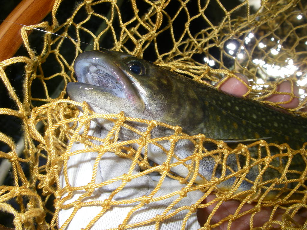 昨日のお休み_e0029256_831060.jpg