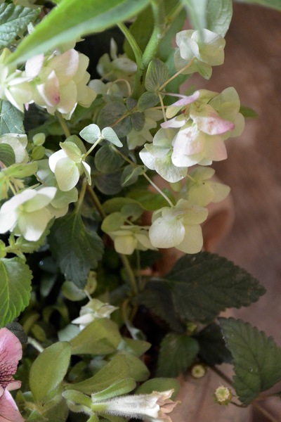 ご注文のお花たち。。。_a0229658_16572233.jpg