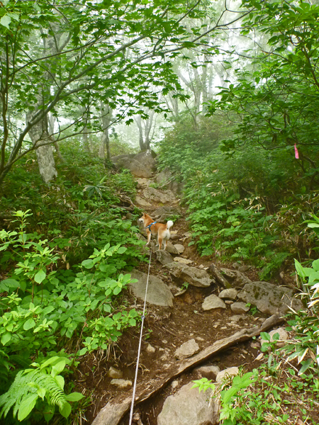 b0277159_20481445.jpg