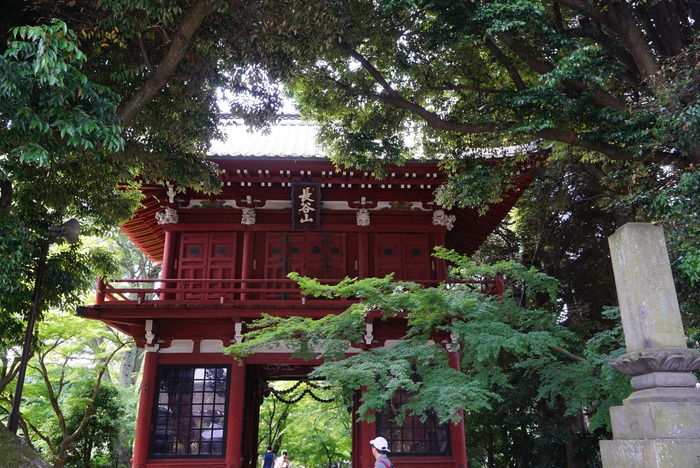 本土寺（あじさい寺）の紫陽花　１_d0152261_21373394.jpg