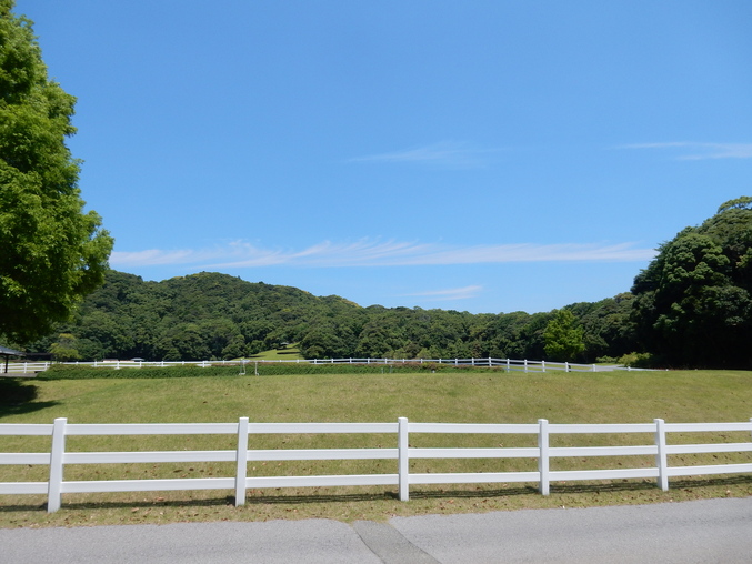 ’16,6,19(日)やっとペンキ塗りしたYO!_f0060461_8124951.jpg
