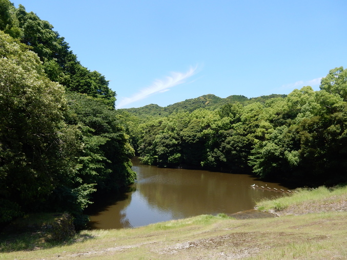 ’16,6,19(日)やっとペンキ塗りしたYO!_f0060461_8225413.jpg