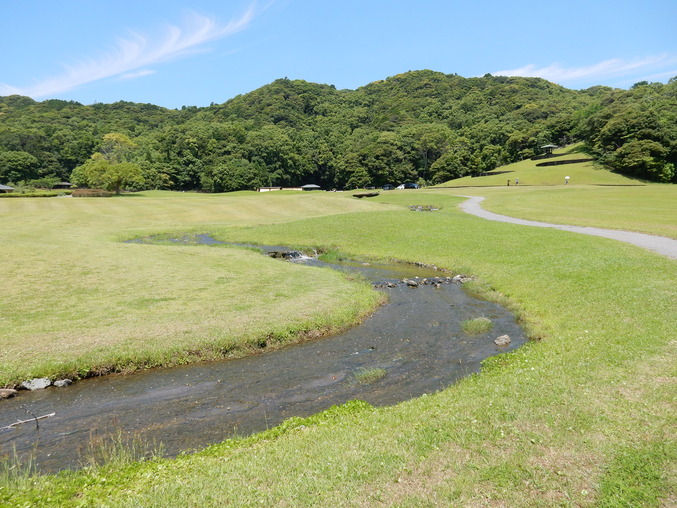 ’16,6,19(日)やっとペンキ塗りしたYO!_f0060461_832141.jpg