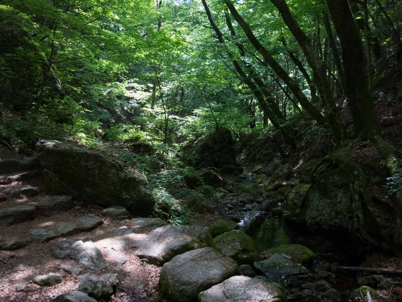 2016年5月 まるごと味わう朝の御岳山 その3_b0337677_20242177.jpg