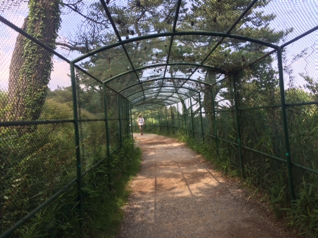c0206177_14204213.jpeg
