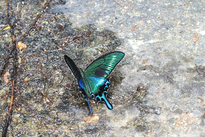 f0211980_16154249.jpg