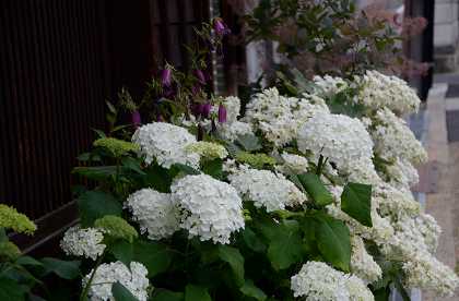 c0229483_1627356.jpg