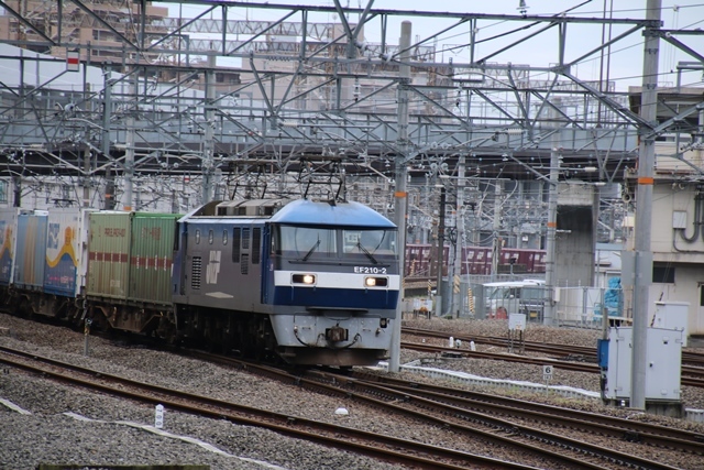 d0181492_17541318.jpg