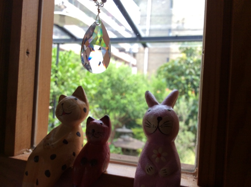 b0220002_16283015.jpeg