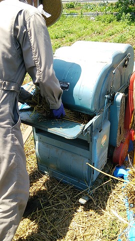 e0270403_13582716.jpg