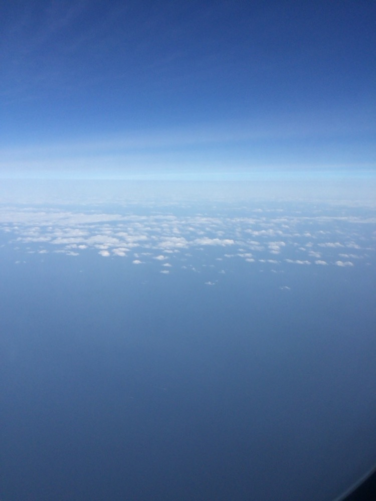 f0302805_23332796.jpeg