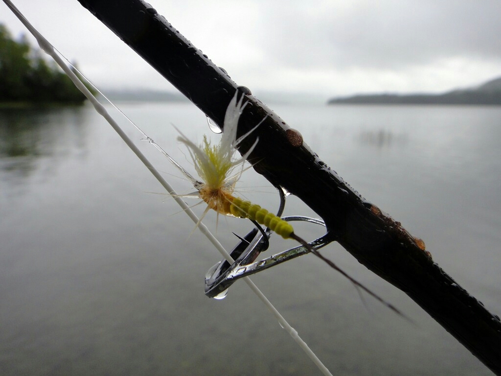 雨の阿寒湖とモンカゲロウ_d0051707_21431069.jpg