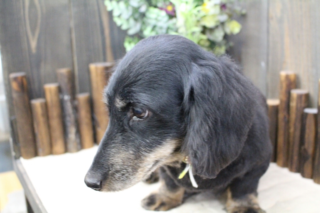 やっと_b0130018_20125179.jpg