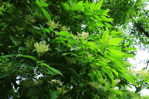 b0258821_22245594.jpg