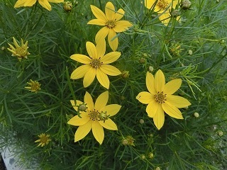 e0234924_09081287.jpg